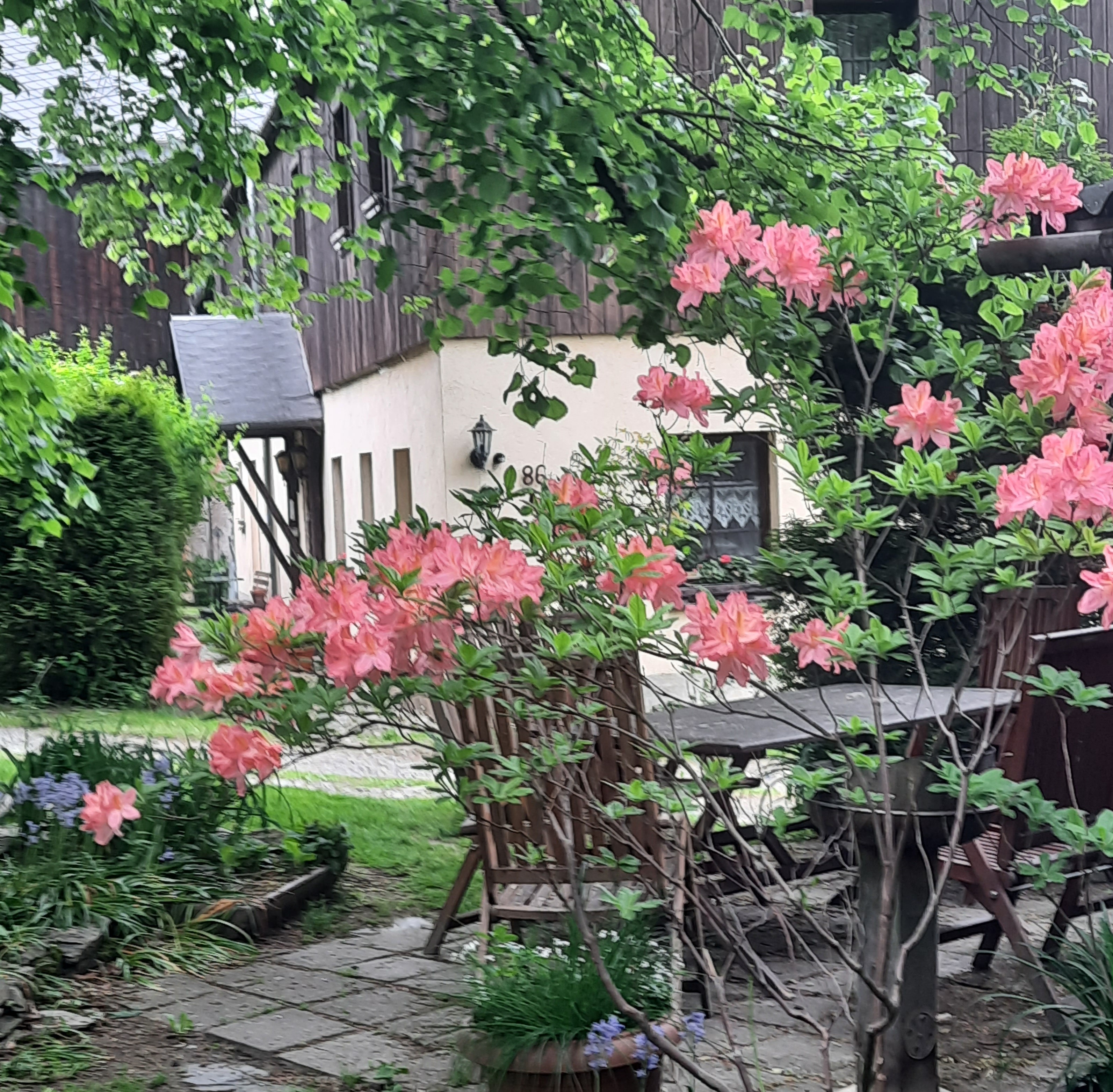 Garten und Terrasse